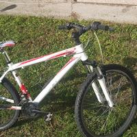 Bici da ragazzo