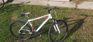 Bici da ragazzo