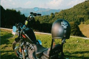 Harley davidson 1200 seventy two sportster