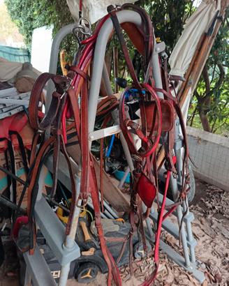 Finimenti  cavallo medio-grande marca "Foti Orazio