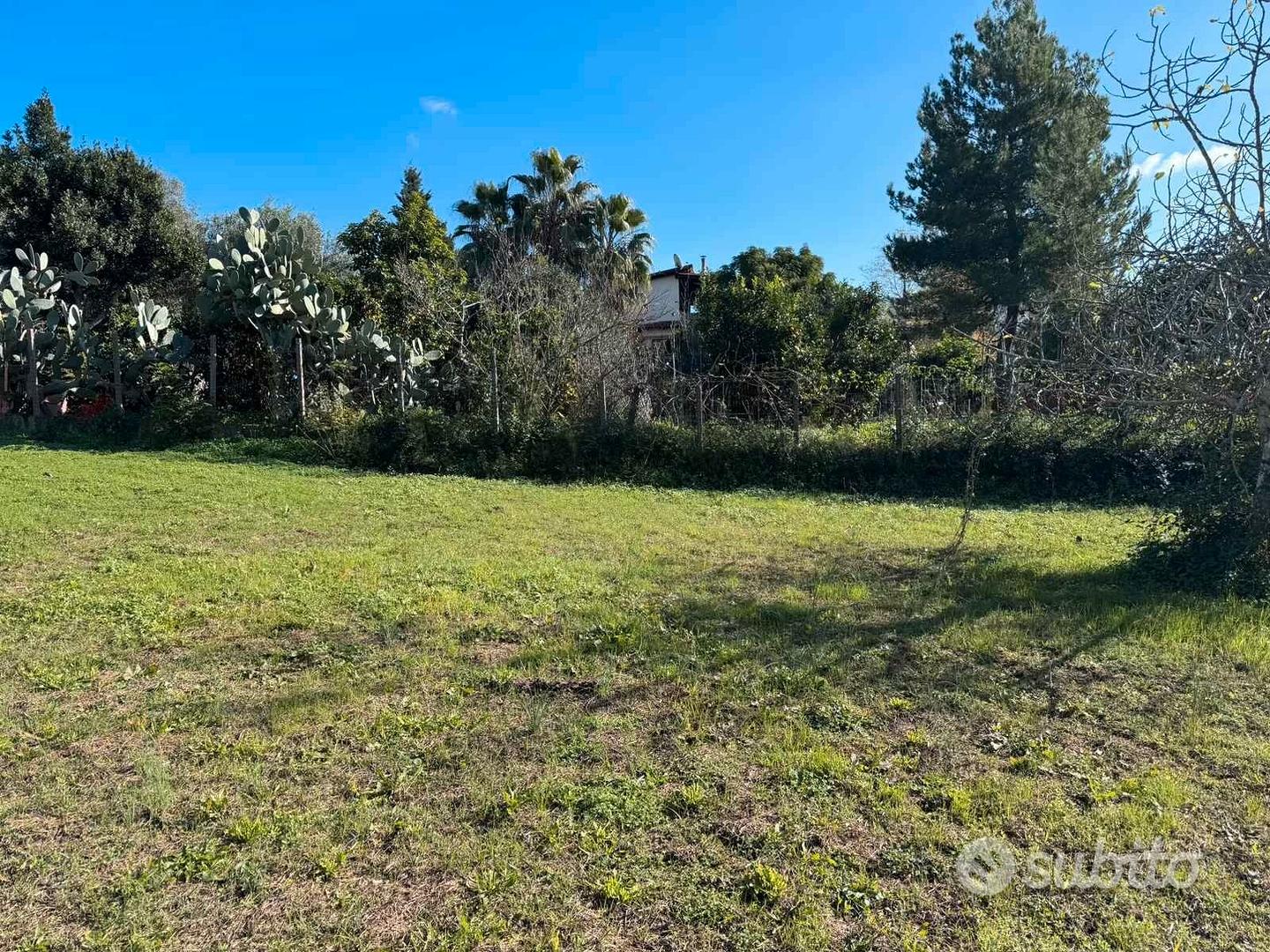 Terreno agricolo - Vista 5