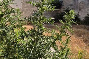 capannone con ampi spazi