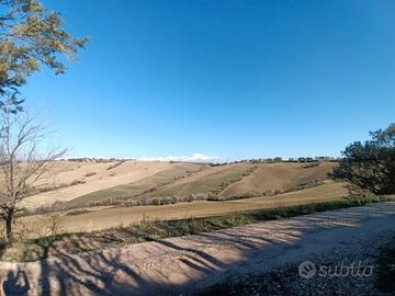 Casolare con giardino, Piagge. M/1580