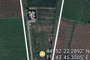 Terreno agricolo 2,4 ettari Correggio (FE)