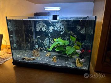 Acquario 75L