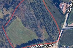 Terreno agricolo con uliveto