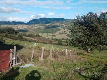 Azienda agricola 40 ettari terreno