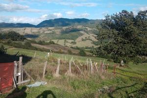 Azienda agricola 40 ettari terreno