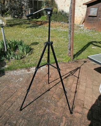 Cavalletto F1RST Sunligt 1225