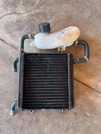 radiatore areox