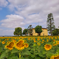 Casa Vacanze tra Imola e Bologna