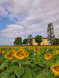 Casa Vacanze tra Imola e Bologna