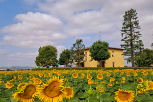 Casa Vacanze tra Imola e Bologna