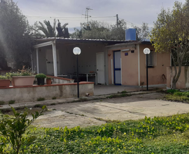 Terreno agricolo con casetta