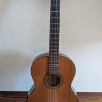 Chitarra Classica Alba