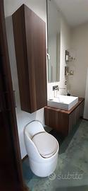 Bagno completo di mobilio, rubinett, doccia sanita