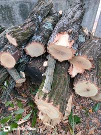 legno acacia 