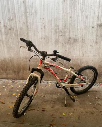 Mountain Bike FERRINI RIDE 20"- Robusta e Leggera
