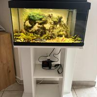 Acquario con mobile