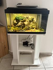 Acquario con mobile