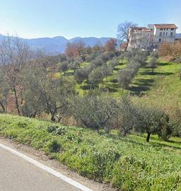 Terreno - Foglianise