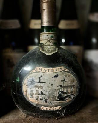 Bottiglie storiche 