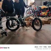 Bicicletta elettrica