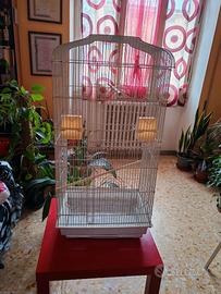 Gabbia, trasportini, pappagalli inseparabili