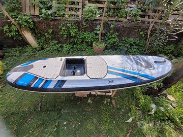 Due tavole da surf elettriche della CARVER 