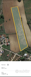 Terreno Agricolo Galatone 8000m2