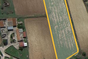 Terreno Agricolo Galatone 8000m2