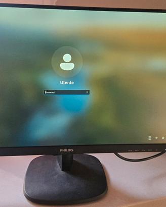 monitor philips 243v