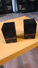 Coppia di Fostex 6301NX