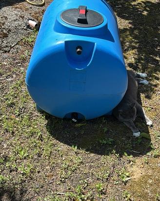 Deposito per acqua potabile da 300 litri