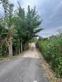 Terreno di 2700 m² a Sant'Anastasia