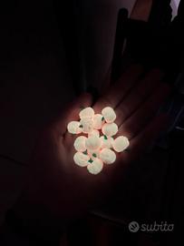 Minizucche di halloween fluo