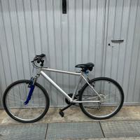 Bicicletta Mtb grigia