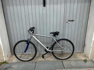 Bicicletta Mtb grigia