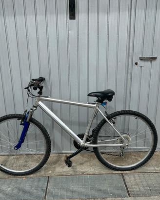 Bicicletta Mtb grigia