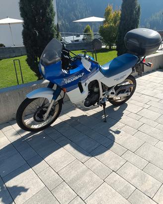motocicletta