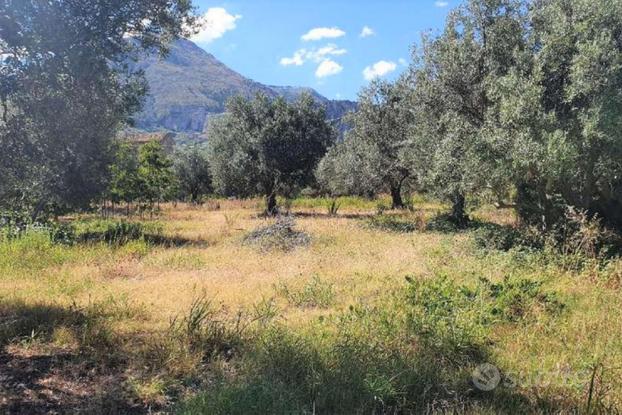 Appezzamento di terreno agricolo alberato