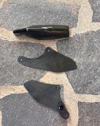 Carbonio ducati