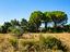 Immagine 14