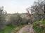 Immagine 10