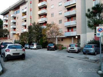 Negozio Campobasso [Cod. rif 3277163VCG]