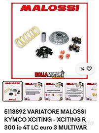 variatore malossi per kymco xciting r300i  e altri