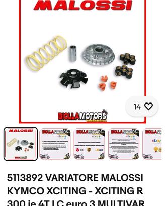 variatore malossi per kymco xciting r300i  e altri