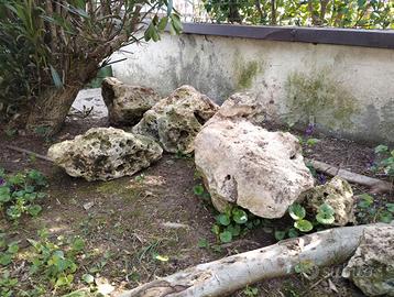 Sassi per giardino
