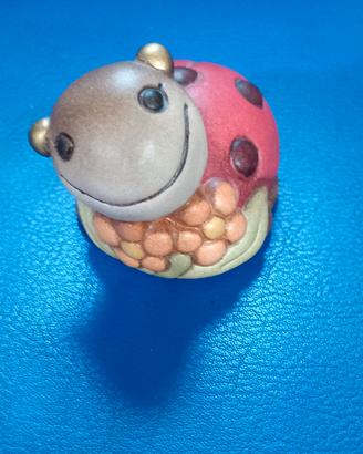 thun coccinella 🐞 