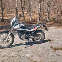 beta alp 4.0
